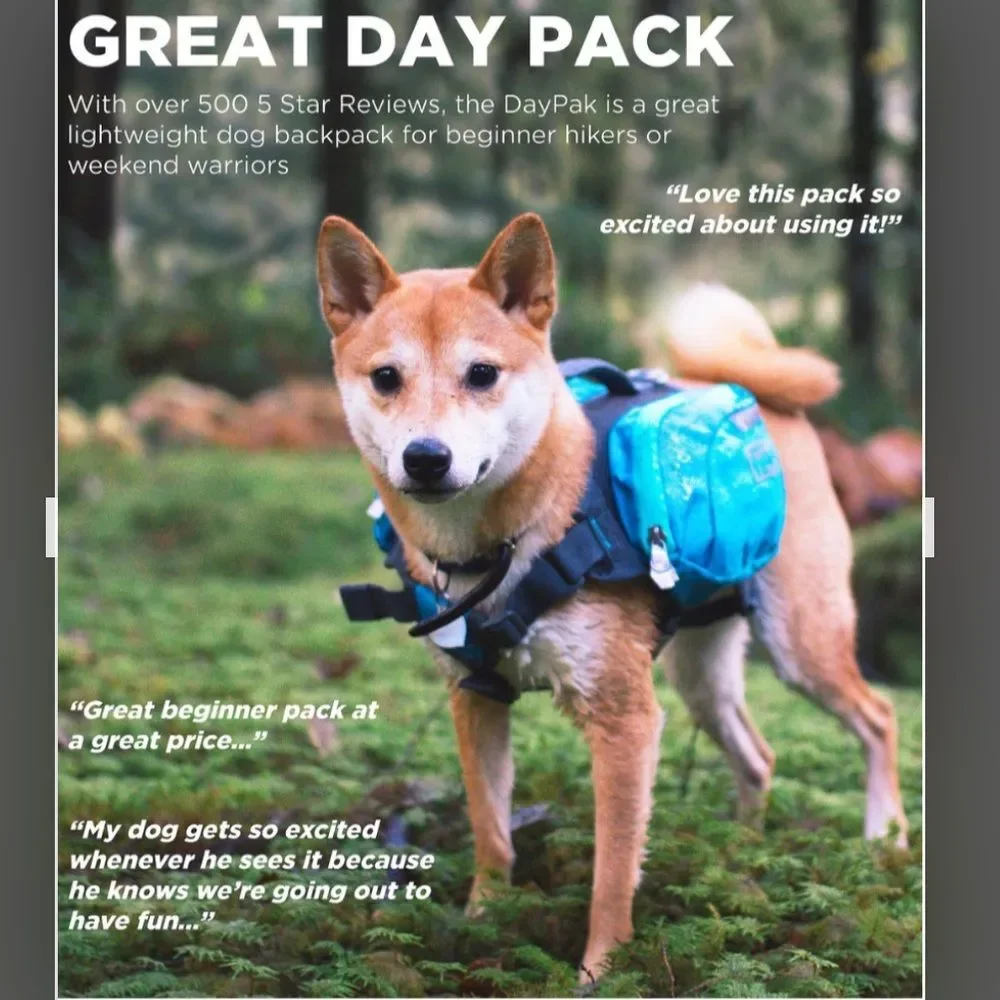 outward hound dog backpack bag for medium dog between 30-50lBS(14-25KG)